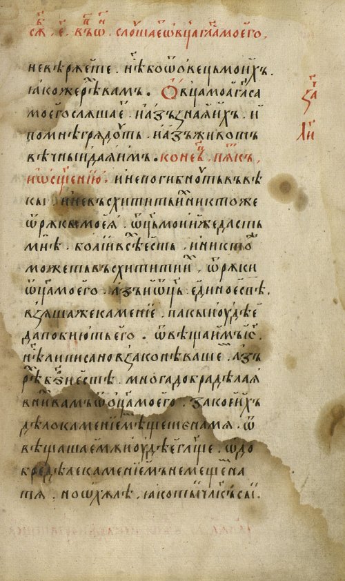 Страница 529