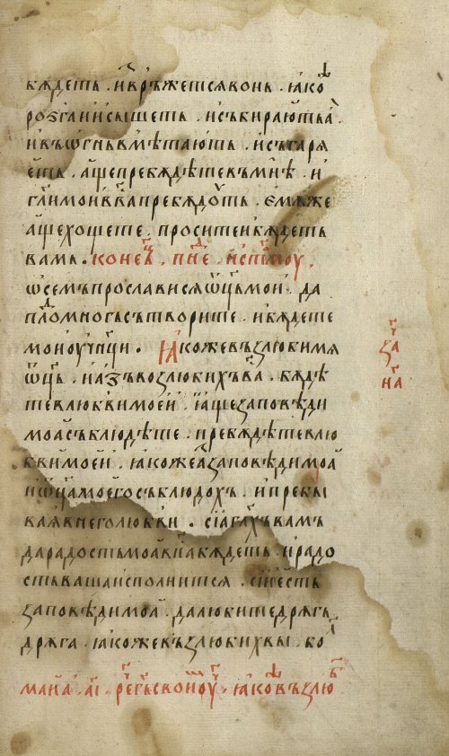 Страница 555