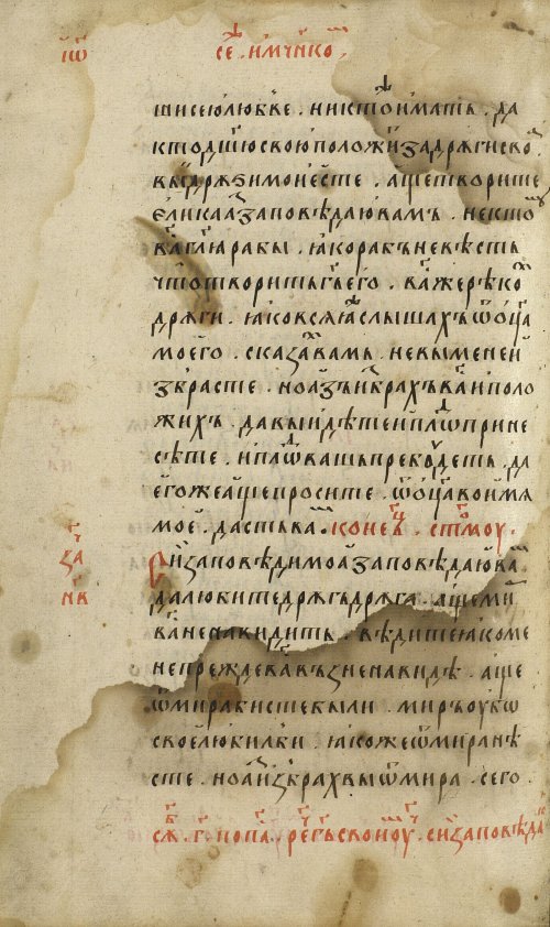 Страница 556