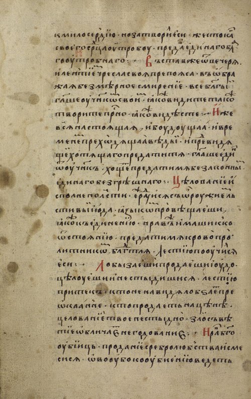 Страница 116