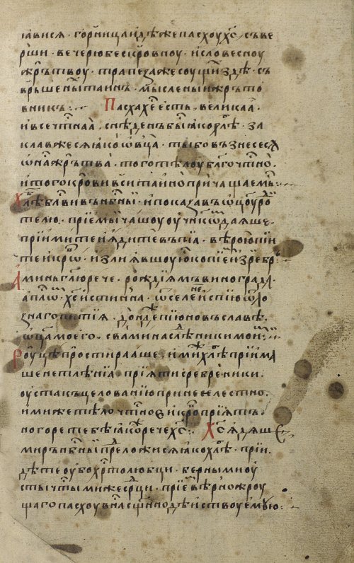 Страница 119
