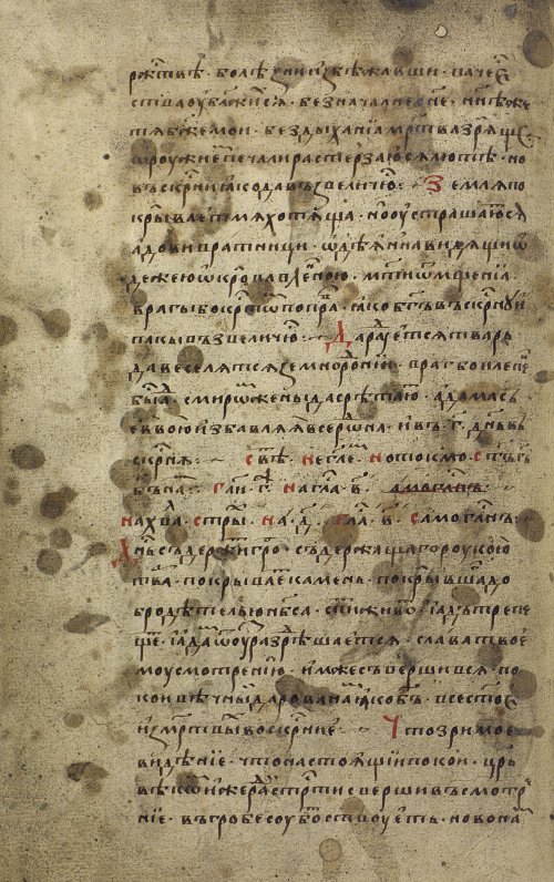 Страница 204