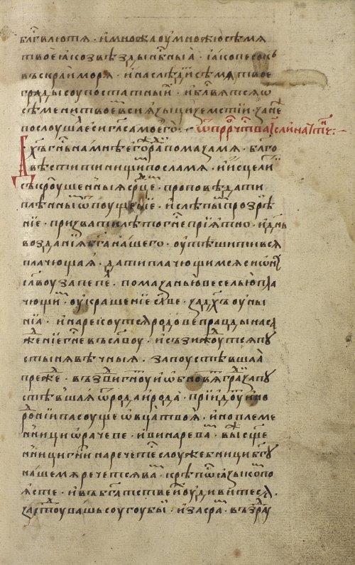 Страница 231