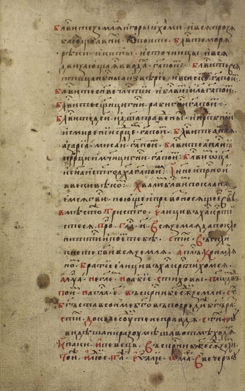 Страница 244