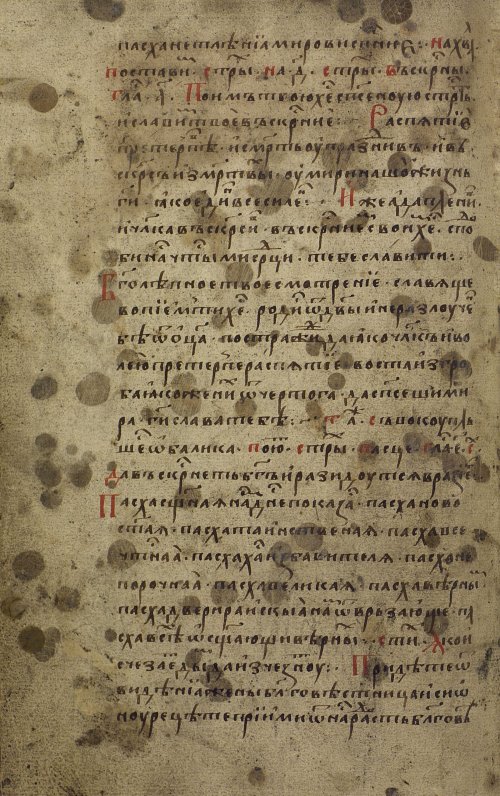 Страница 256