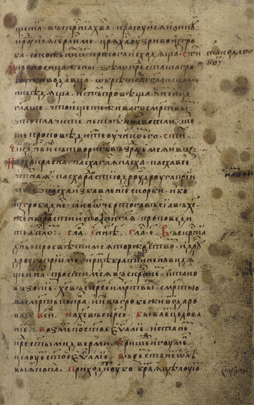Страница 257
