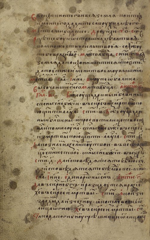 Страница 262