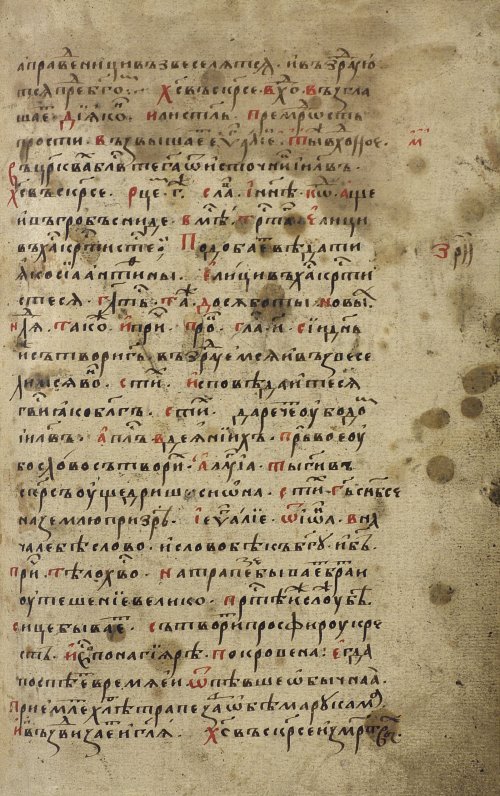 Страница 263