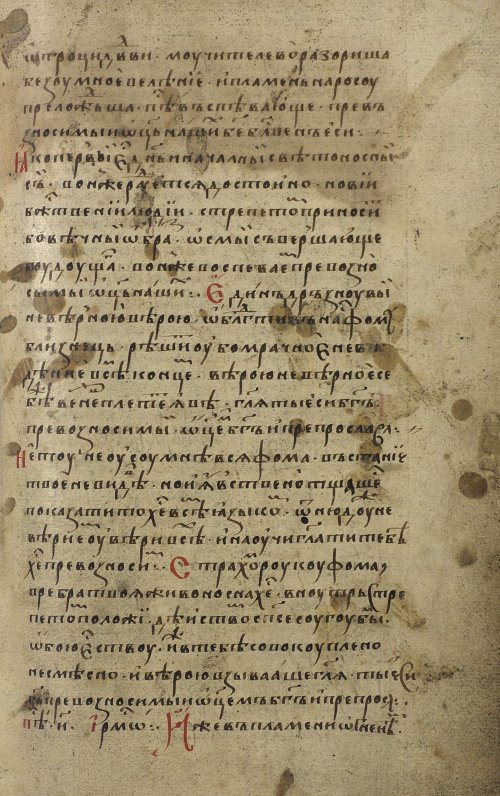 Страница 295