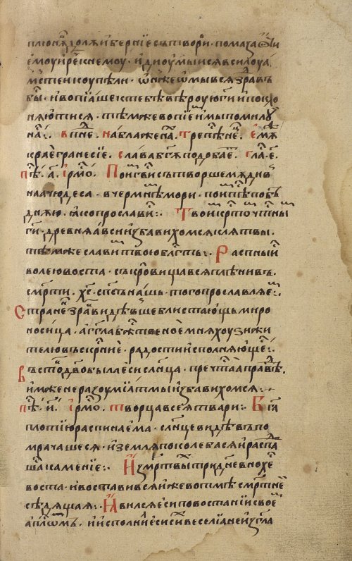 Страница 567