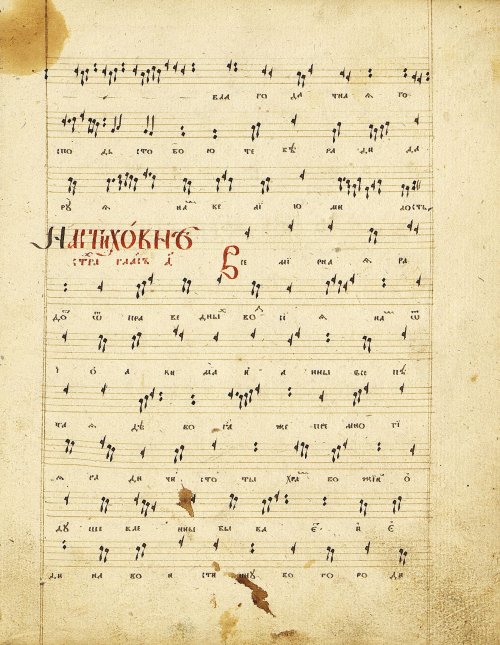 Страница 19