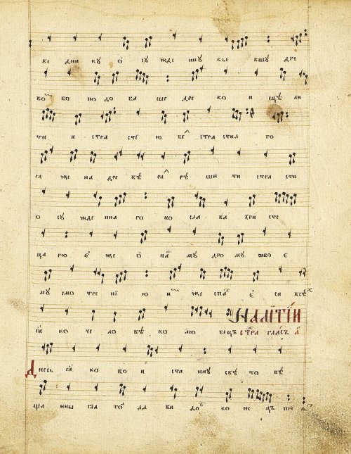 Страница 33
