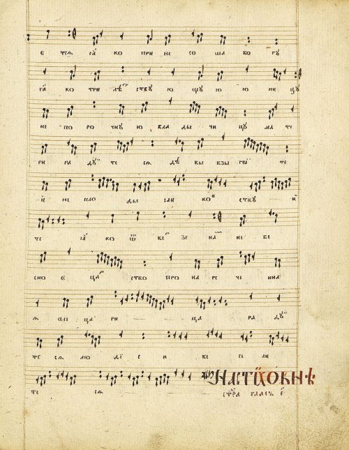 Страница 55
