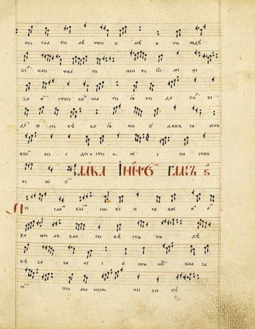 Страница 117