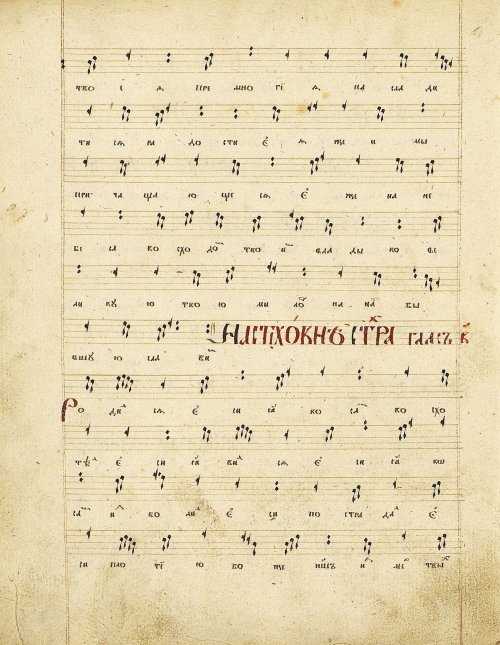 Страница 146