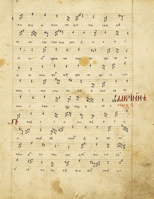Страница 177