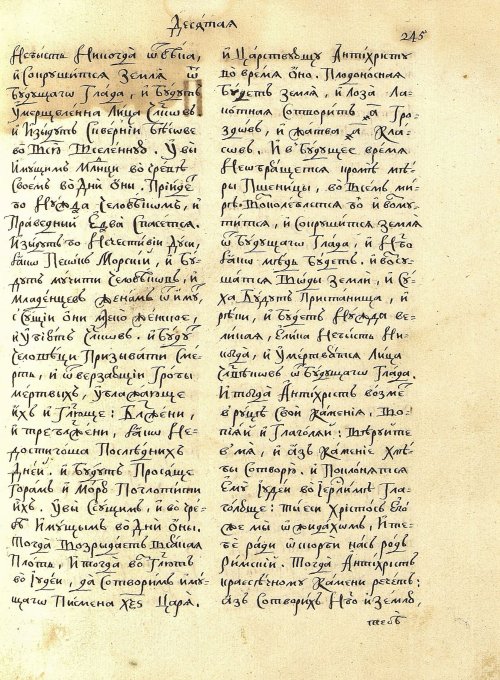 Страница 233