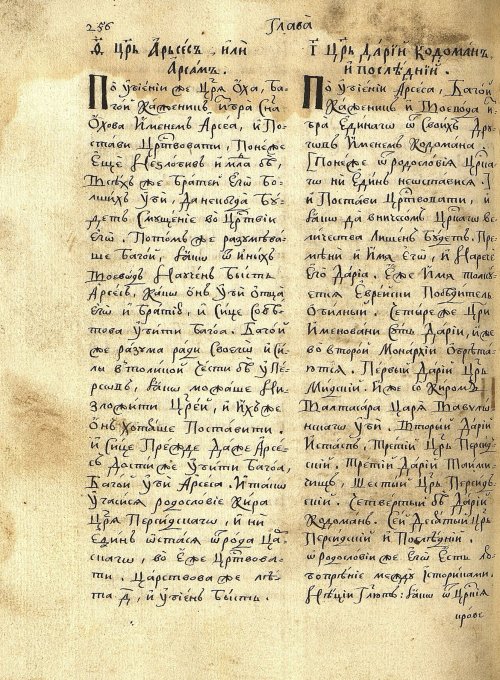 Страница 244