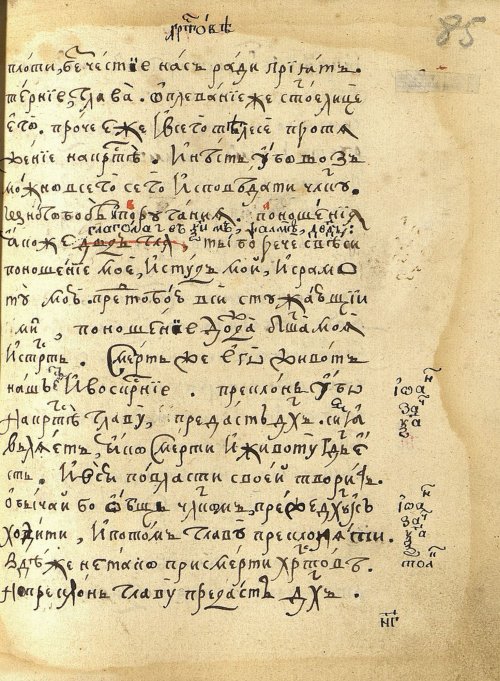Страница 173