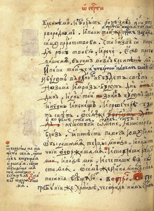 Страница 216