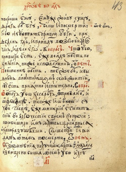 Страница 229