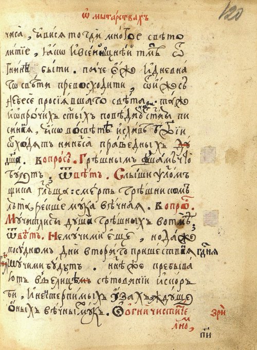 Страница 243