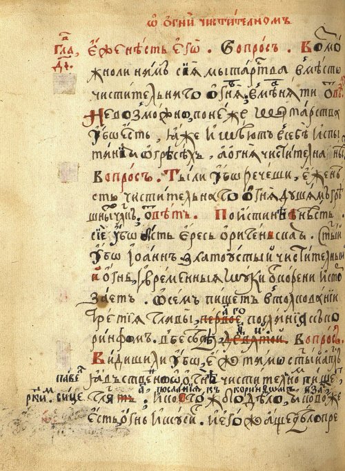 Страница 244