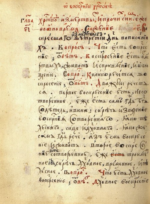 Страница 250