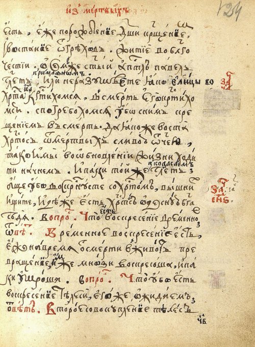 Страница 251