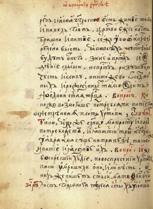 Страница 256