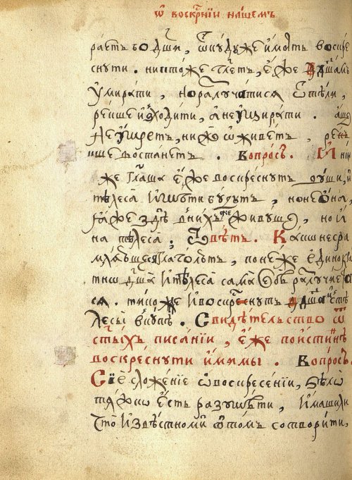 Страница 260