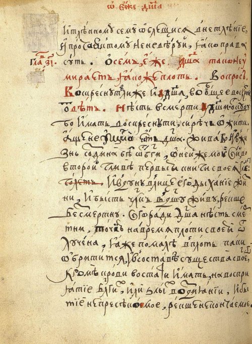 Страница 264