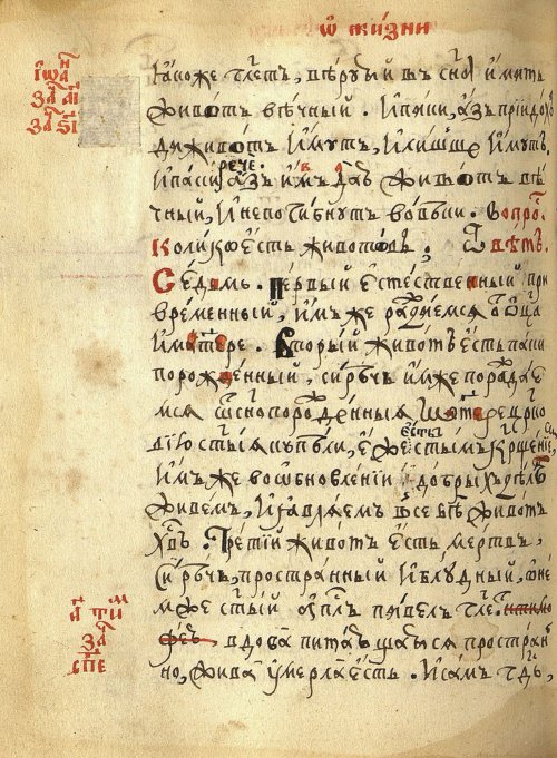 Страница 394