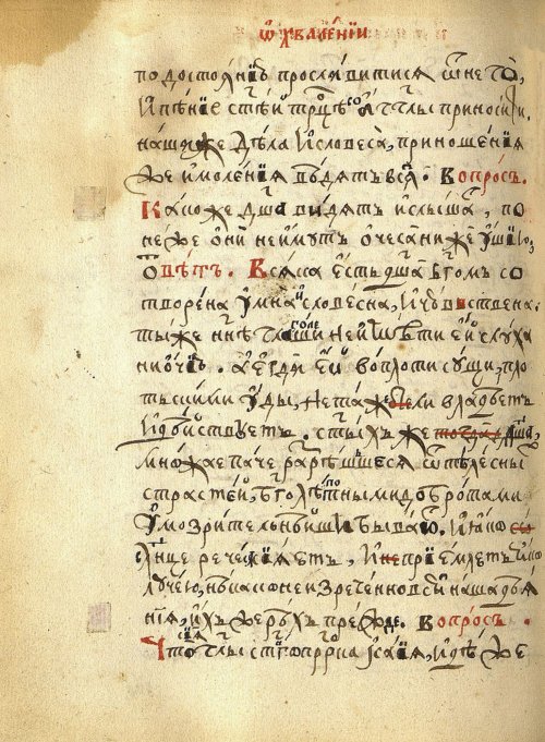 Страница 516