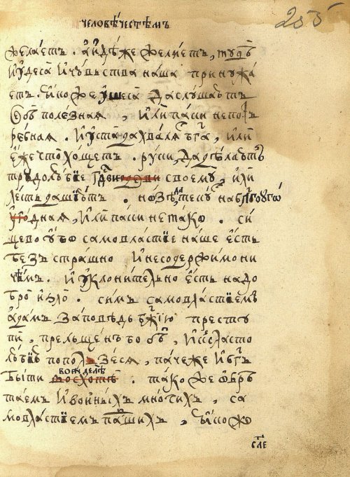 Страница 537
