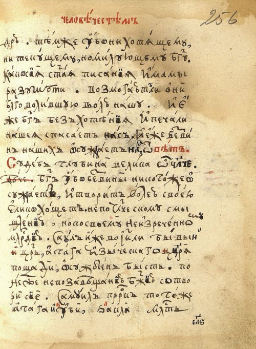 Страница 539