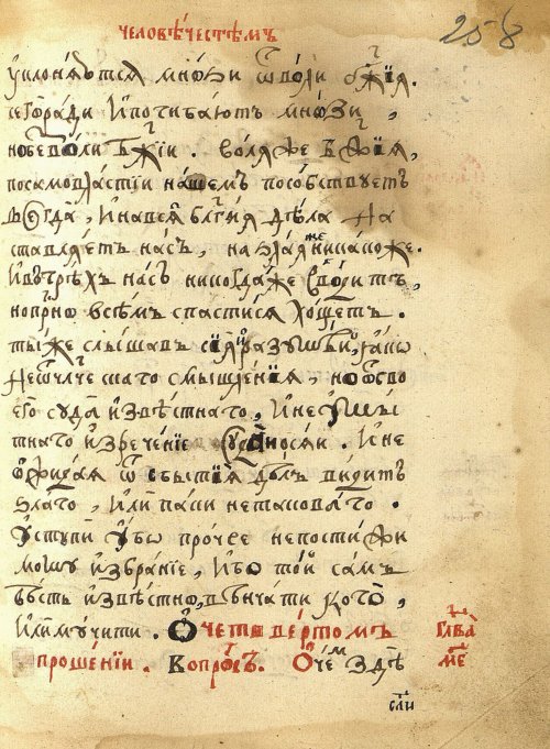 Страница 543