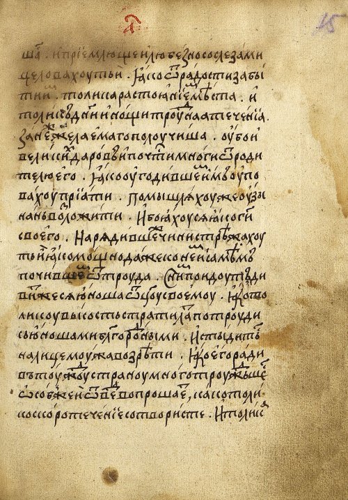 Страница 31