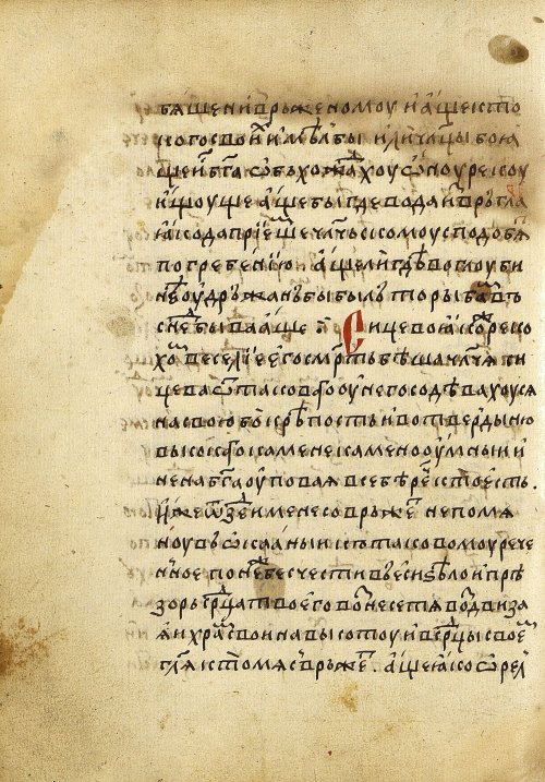 Страница 224