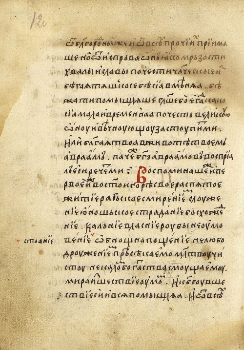 Страница 242