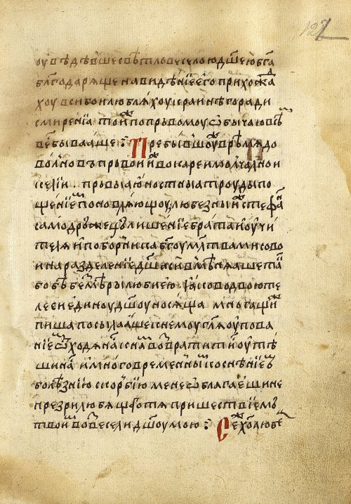 Страница 245