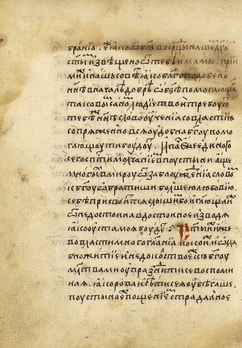 Страница 264