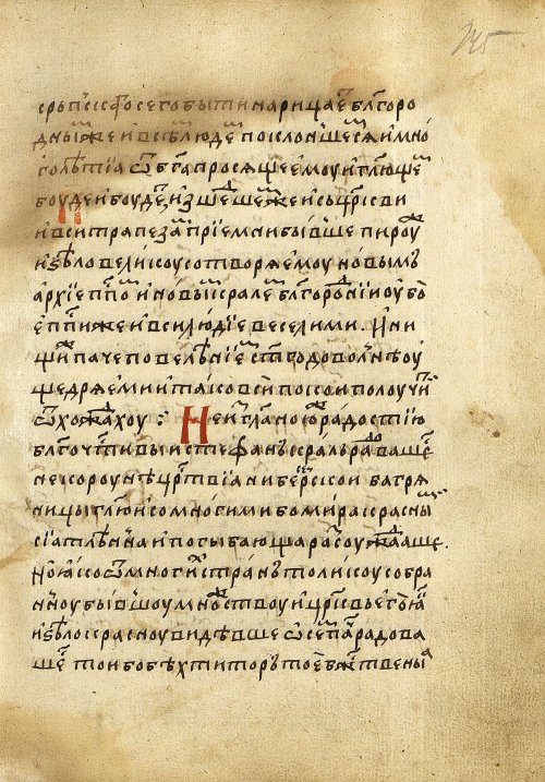 Страница 293