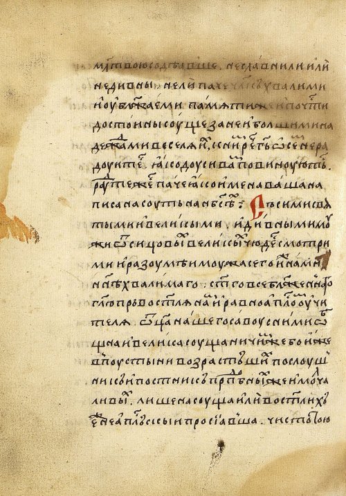 Страница 470