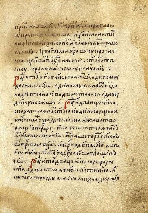 Страница 481