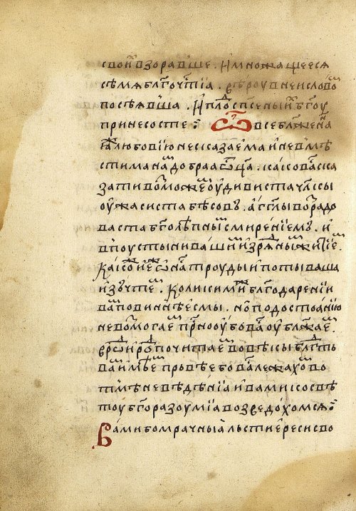 Страница 482