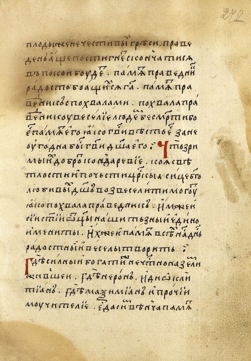 Страница 497