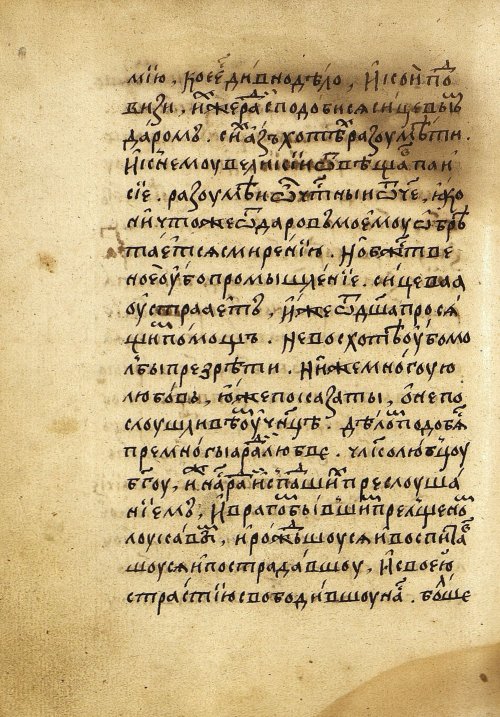 Страница 558