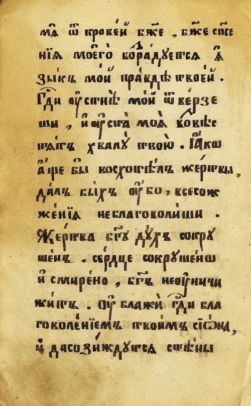 Страница 22