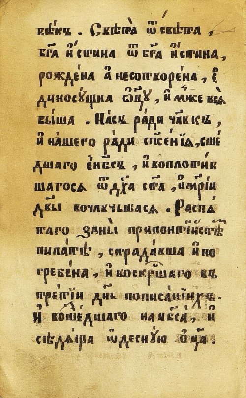 Страница 24